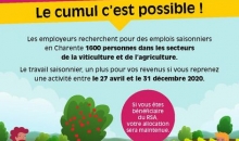 insertion 16 cumul rsa emploi saisonnier