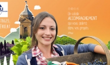 Jobs cueillette de pommes au Royaume-Uni