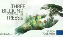 #3BillionTrees, stratégie de la Commission européenne pour la lutte contre le changement climatique: 