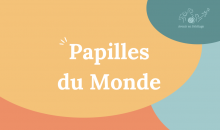 Papilles du monde 2024